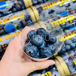 China Yunnan Cordoma Jumbo Blueberries China Yunnan Cordoma Jumbo Blueberries