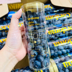 China Yunnan Cordoma Jumbo Blueberry 200g tub back China Yunnan Cordoma Jumbo Blueberry 200g tub back