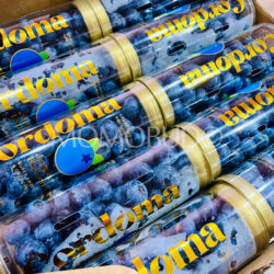 China Yunnan Cordoma Jumbo Blueberry 200g tubs 18mm+ China Yunnan Cordoma Jumbo Blueberry 200g tubs 18mm+