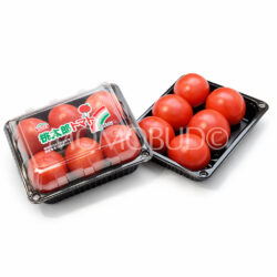 Japanese Fukuoka Momotaro Tomato (500g punnet)