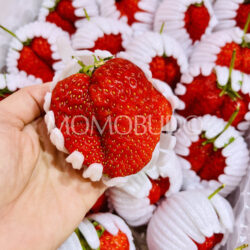 Japanese Jumbo Bizan Beni Hoppe Strawberry on hand