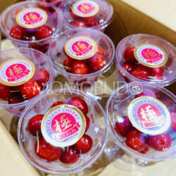 Japanese Kochi Sato Nishiki Sakurabon (Cherry) (Kiwami Grade, 100g cups)