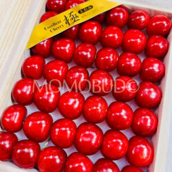 Japanese Kochi Sato Nishiki Sakurabon (Cherry) Wooden Gift Box (Kiwami Grade) 300g