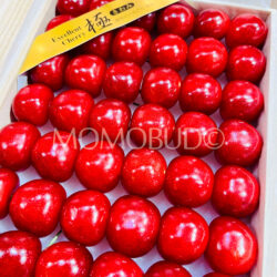 Japanese Kochi Sato Nishiki Sakurabon (Cherry) Wooden Gift Box (Kiwami Grade) 300g
