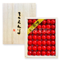 Japanese Kochi Sato Nishiki Sakurabon (Cherry) Wooden Gift Box (Kiwami Grade) 300g