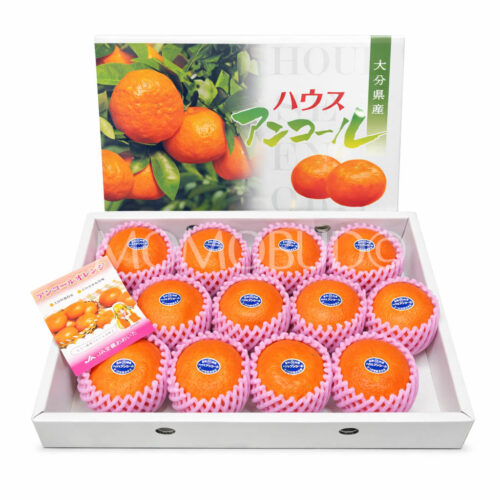 Japanese Oita Encore Mikan (Mandarin Orange) Gift Box (2.5kg) Japanese Oita Encore Mikan (Mandarin Orange) Gift Box (2.5kg)