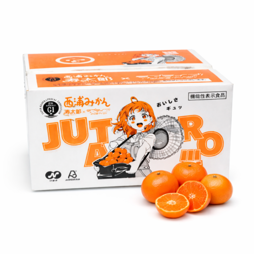 Japanese Shizuoka Jutaro Mikan (Mandarin Orange) Box (5kg)