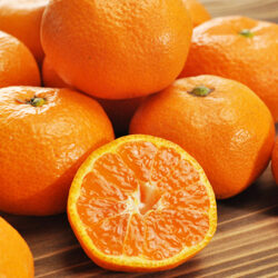 Japanese Shizuoka Jutaro Mikan (Mandarin Orange) cross section