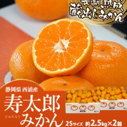 Japanese Shizuoka Jutaro Mikan (Mandarin Orange) poster