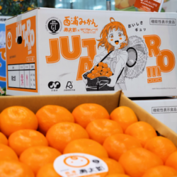 Japanese Shizuoka Jutaro Mikans (Mandarin Oranges)