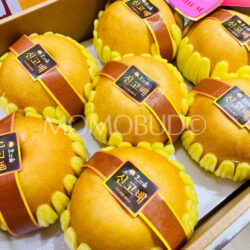 Korean Young Wha Singo Pears Korean Young Wha Singo Pears