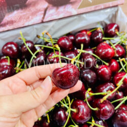 Tasmanian Ross Somercotes Sweetheart™ Red Cherry 30mm+