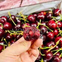 Tasmanian Ross Somercotes Sweetheart™ Red Cherry cross section