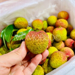 Airflown Premium China Hainan Fei Zi Xiao Lychee Airflown Premium China Hainan Fei Zi Xiao Lychee