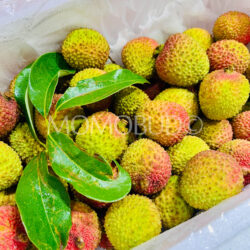 Airflown Premium China Hainan Fei Zi Xiao Lychees Airflown Premium China Hainan Fei Zi Xiao Lychees