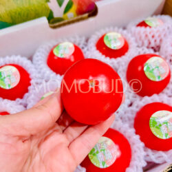 China Diana Cherry Tomato