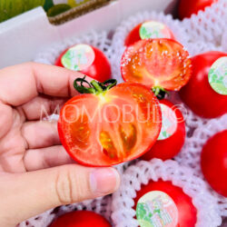 China Diana Cherry Tomato cross section