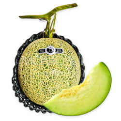 China Green Fishnet Melon
