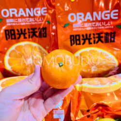 China Sunshine Wokan Tangerine