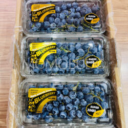 China Yunnan Sweet Stem Blueberry (200g punnets)