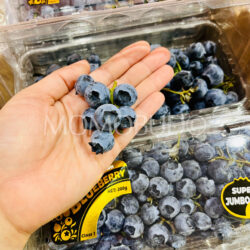 China Yunnan Sweet Stem Blueberry