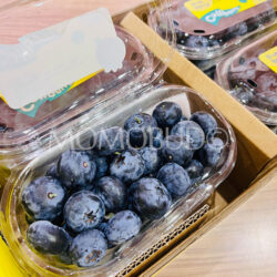 China Yunnan Collberry Super Jumbo Blueberries (24mm+)