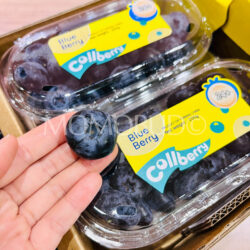 China Yunnan Collberry Super Jumbo Blueberry (24mm+)