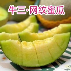 China 牛3蜜 (Niu San Mi) Melon slices