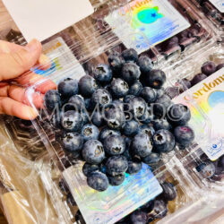 Cordoma Jumbo Blueberries