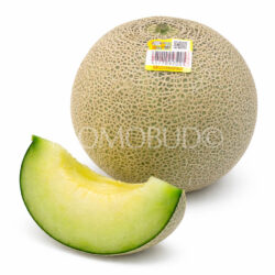 Japanese Ibaraki Otome Green Melon
