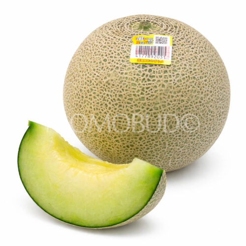 Japanese Ibaraki Otome Green Melon
