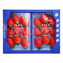 Japanese Mie Yotsuboshi Strawberry Tray