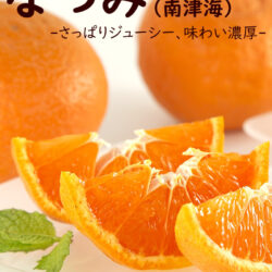 Japanese Natsumi Mikan (Mandarin Orange) slices Japanese Natsumi Mikan (Mandarin Orange) slices