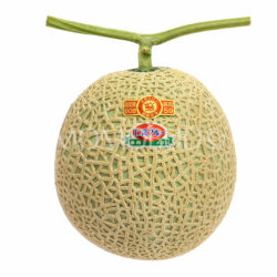 Japanese Niyodo Blue Arus Red Muskmelon