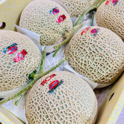 Japanese Niyodo Blue Silk Red Muskmelons Japanese Niyodo Blue Silk Red Muskmelons