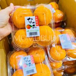 Japanese Saga Natsumi Mikan (Mandarin Orange, 500g punnet)