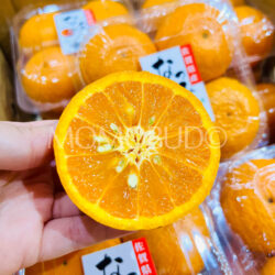 Japanese Saga Natsumi Mikan (Mandarin Orange) cross section