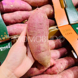 Korean Iksan Topmaru Yellow Sweet Potato