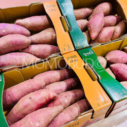 Korean Iksan Topmaru Yellow Sweet Potato Boxes (1.5kg)