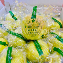 Premium Japanese Hirosaki Orin Apple (High Sweetness) 1 Premium Japanese Hirosaki Orin Apple (High Sweetness) 1
