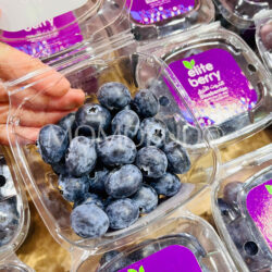 UAE Elite Blueberries