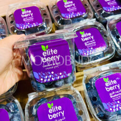 UAE Elite Blueberry (175g punnet)