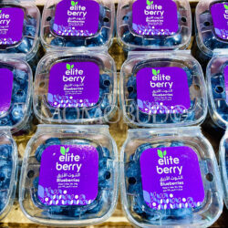 UAE Elite Blueberry (175g punnets)