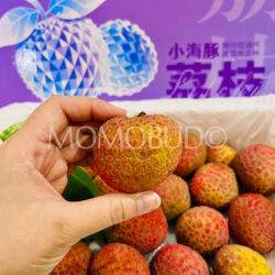 Airflown Premium China Little Dolphin Lychee King lychee