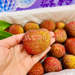 Airflown Premium China Little Dolphin Lychee King lychee