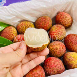 Airflown Premium China Little Dolphin Lychee King lychee flesh