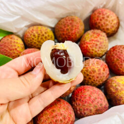 Airflown Premium China Little Dolphin Lychee King lychee seed