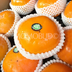 B Sweet Hothouse Fuyu Persimmons