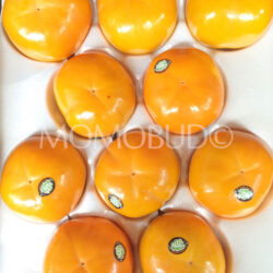 B Sweet Hothouse Fuyu Persimmons Jumbo