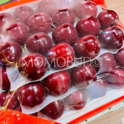 China Guangzhou Red Cherries